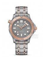 歐米茄海馬系列210.60.42.20.99.001