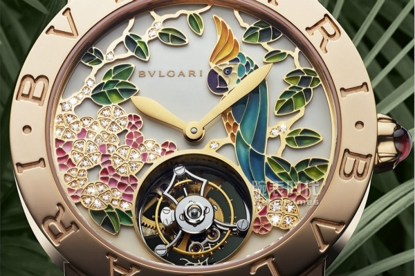 宝格丽鹦鹉珐琅il giardino tropicale